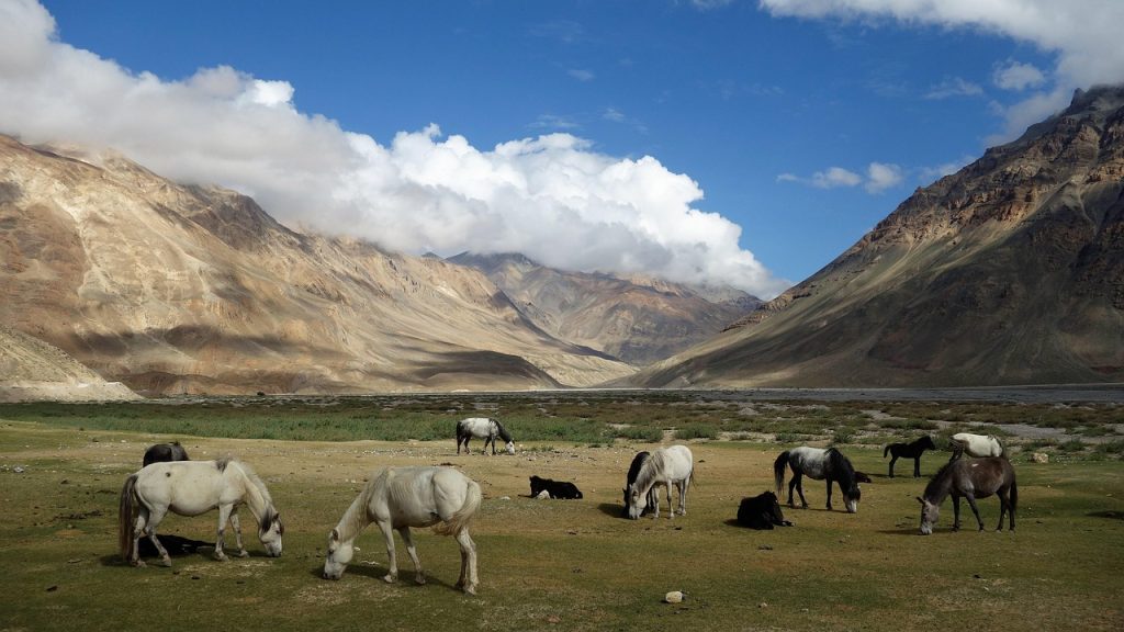 himachal-3647248_1280 (1)